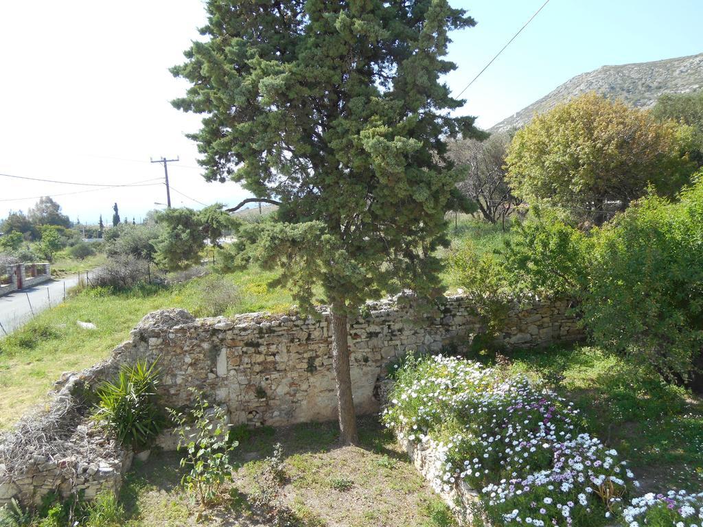 Pythais Hotel Πυθαγόρειο Εξωτερικό φωτογραφία